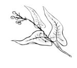corek-otu-yagi-1